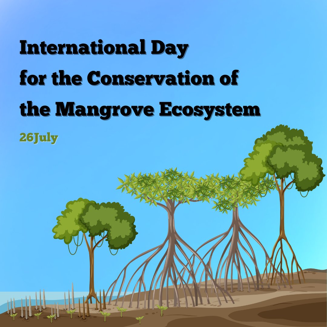 Mangroves are key to reducing the impacts of the climate crisis & extreme weather events. Yet, they are under threat. On Wednesday's #MangroveDay, join @UNESCO in calling for urgent action to protect these extraordinary ecosystems. unesco.org/en/days/mangro…