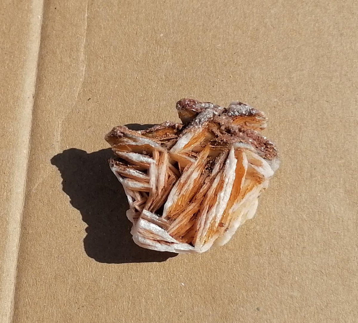 Viralshirtt's tweet photo. @GeologyTime This is a rough ruby quartz type stone
Available for sale https://t.co/ofAqYhmmap