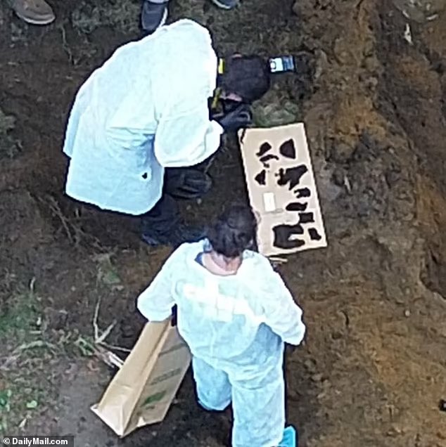 CoffindafferFBI's tweet photo. Photos from today at #RexHeuermann's home.

They are digging and finding more and more evidence. Tyvec suits, photographer snapping shots and the hole even deeper. 

His secrets were buried there. 

Notice the paper bags. These items are biodegradable. Thus, law enforcement will use paper bags, not plastic. 

They have unearthed so much evil.

#LISK 
#GilgoBeach 
#Gilgo4 
#Gilgo