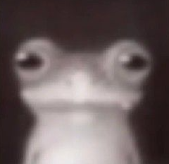 "are u high?"
me: what makes u think that
me: