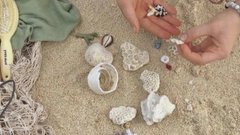 Destiny112_13's tweet photo. Seashells 🐚📷🫧 https://t.co/Bx5fVV2Wcd