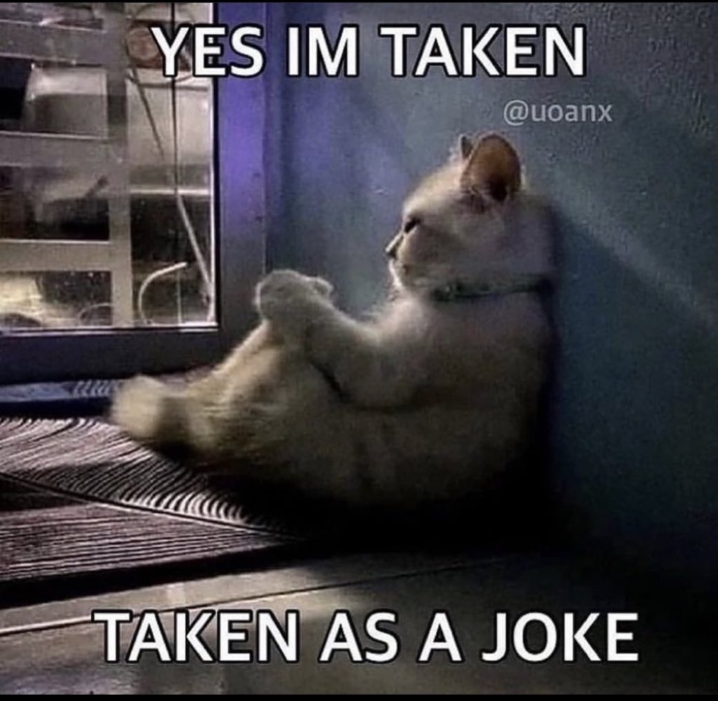 PostsOfCats's tweet photo. https://t.co/6xIiJ9ma5k