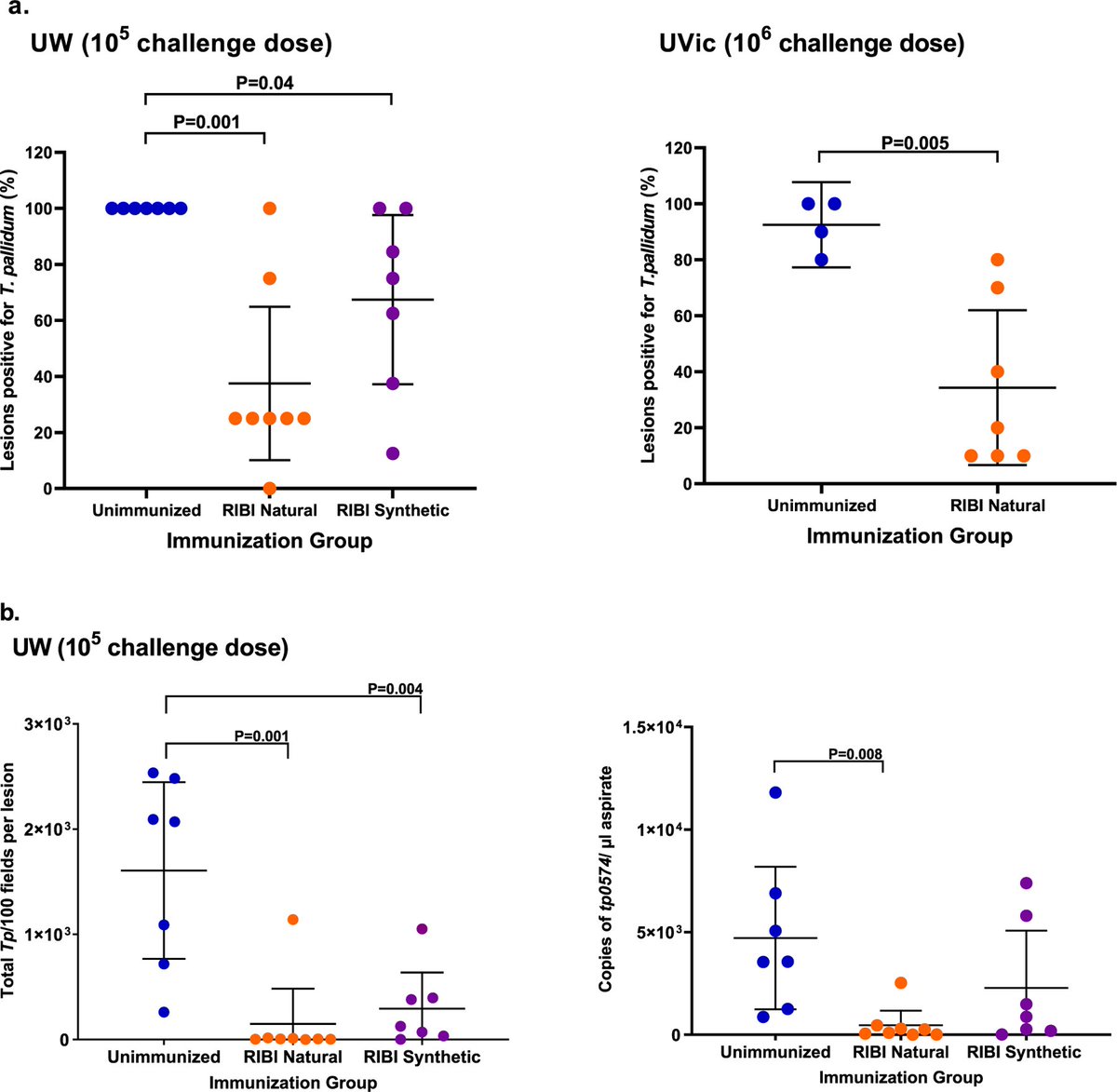 dr_michaelmarks's tweet photo. Lorenzo Giacani @UW presenting their promising work developing a three antigen cocktail as a candidate syphilis vaccine https://t.co/E1aQ7V1wRs Immunization reduces lesion burden in an experimental rabbit model accompanied by a robust cellular & humoral response #ISSTDR2023 https://t.co/KYYy3xL9rY