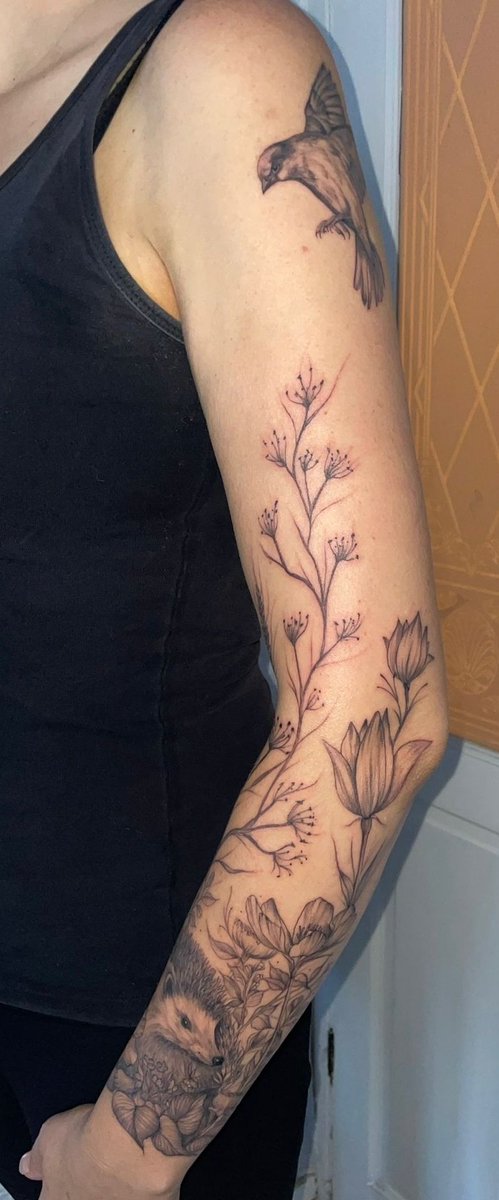 outlookisrosy's tweet photo. I'm a little bit in love with my tattoo artist 🥰 ... and this little fella! who the kids have named 'Pablo' 🦔
Operation 'midlife crisis sleeve' - Day 1 complete #INK #tattoo #natureink #tattoos https://t.co/XLwYlpyfay