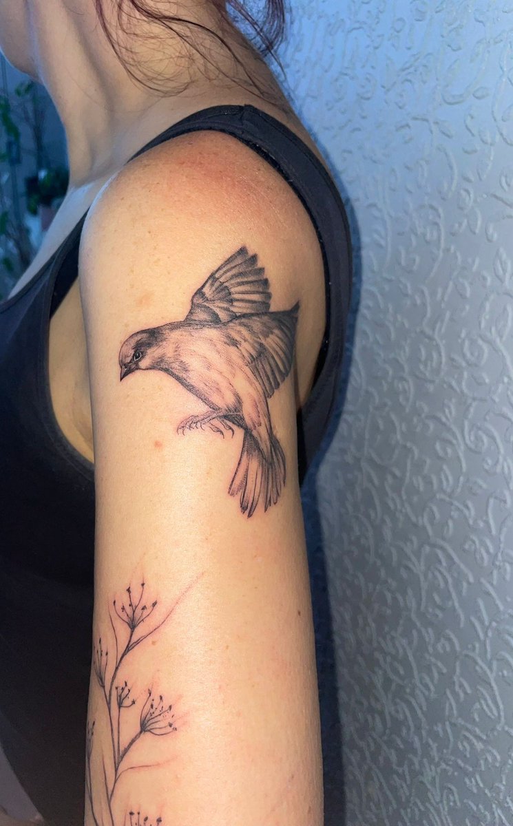 outlookisrosy's tweet photo. I'm a little bit in love with my tattoo artist 🥰 ... and this little fella! who the kids have named 'Pablo' 🦔
Operation 'midlife crisis sleeve' - Day 1 complete #INK #tattoo #natureink #tattoos https://t.co/XLwYlpyfay