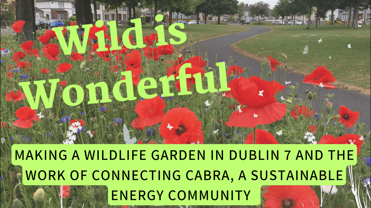 Did you miss the wonderful Stephen Shanahan in our Wild is Wonderful webinar? You can now find out how to make a wildlife garden & hear about the work of @ConnectingCabra on our youtube channel @ tinyurl.com/yzen9ecw