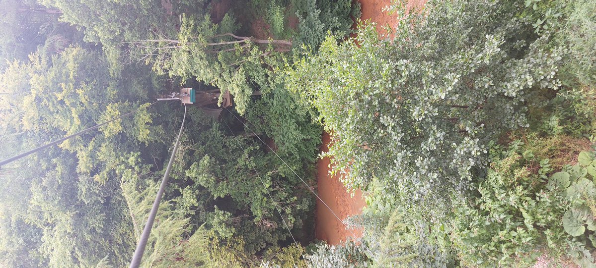 Kicking off week 3 with our usual Go Ape trip. This bunch were fearless and striking poses on the zip lines by the end 🕺 great work team 👏