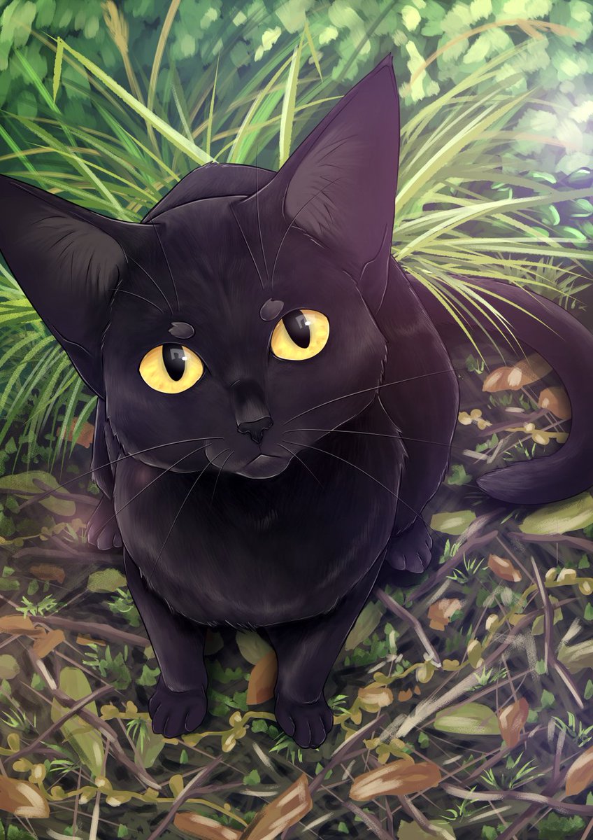 orbitkat's tweet photo. Was trying to make a new cover for Real Human Bean but accidentally made the coloring too realistic whoops https://t.co/TC0SgQRENl