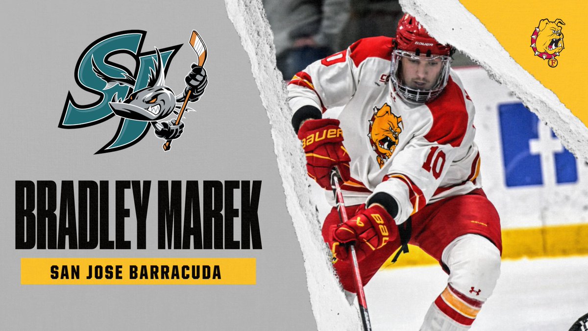 FerrisHockey's tweet photo. Congrats! Ferris State Hockey's Bradley Marek has signed an AHL contract with the San Jose Barracuda, the top affiliate of the NHL's San Jose Sharks! https://t.co/SqS2ZGtnbP https://t.co/DVQJSmanCc