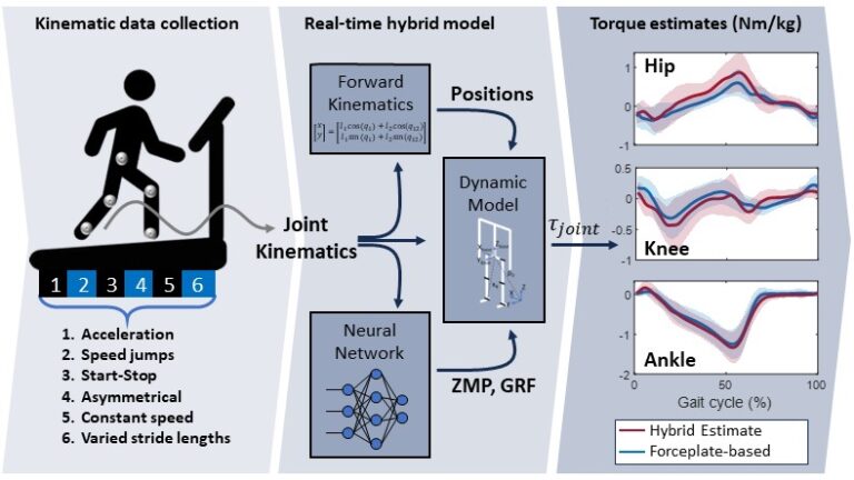 Arash_Arami's tweet photo. Our recently published work on Real-time Estimation of Movement Dynamics (during a range of walking conditions) appeared among the featured articles of IEEE TBME.
@mo_shushtari 
https://t.co/wV2BaHokcw https://t.co/DVYEdXZ8CE