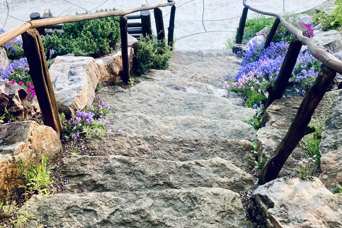 Flowers at 8,200'