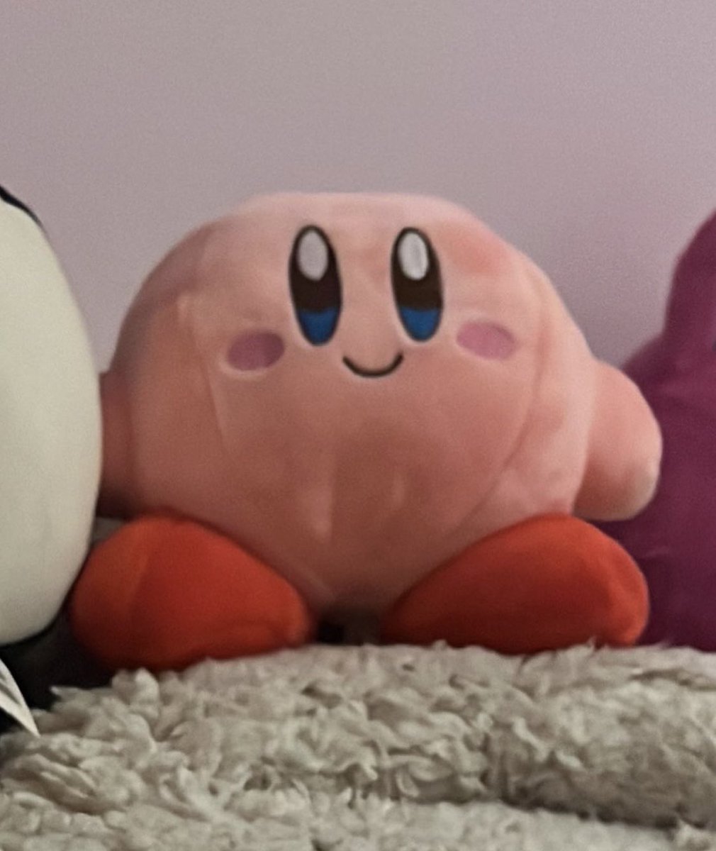 _dia_illust's tweet photo. i got a kirby plushie at the con i was at and now every time i look at him he makes me rlly happy, so theoretically if i make my whole room kirby i’ll always be happy? 🤔 https://t.co/Dpy76uWs4s