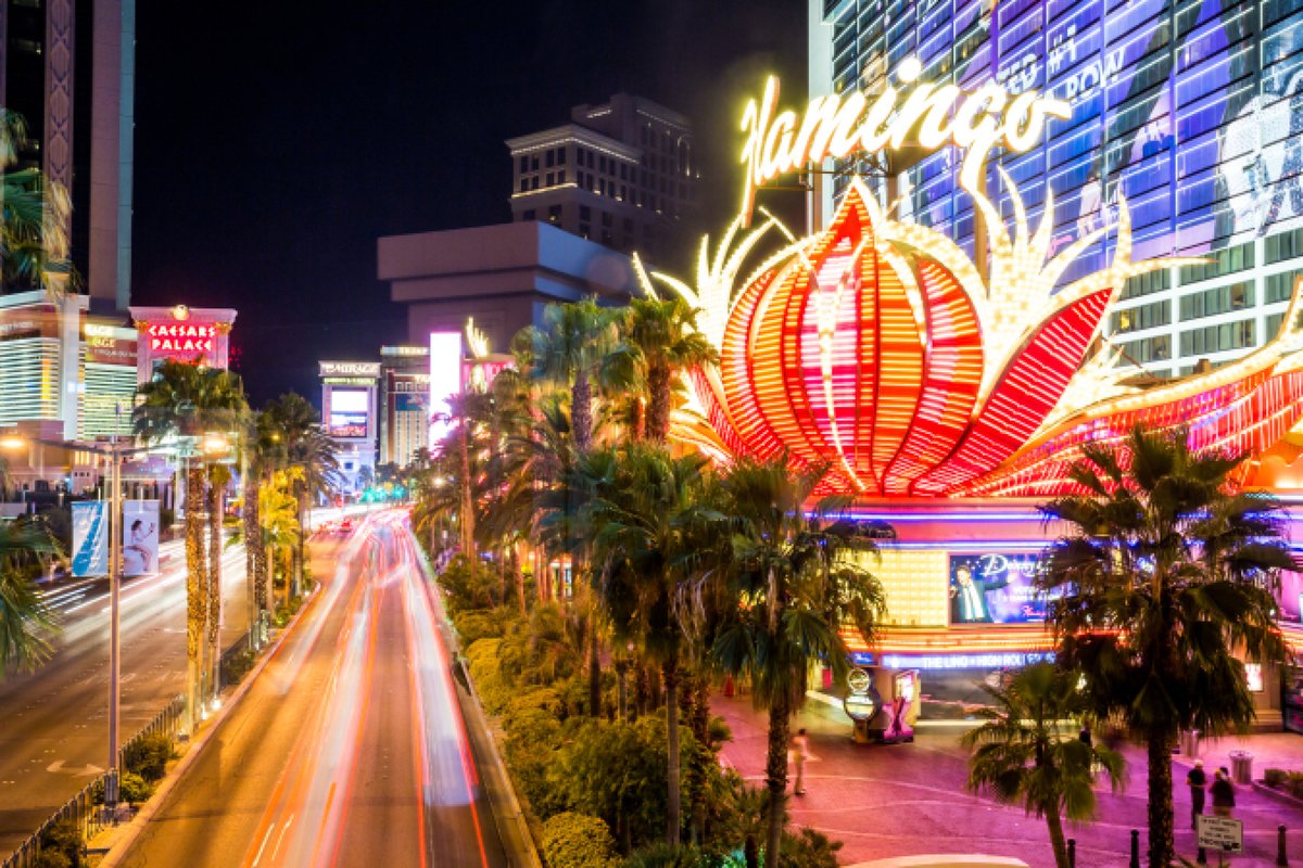 FeelingVegas's tweet photo. 🦩🦩🦩🦩🦩🦩🦩🦩 See Flamingo room rates: https://t.co/zEPwOnV7vV (TripAdvisor) #LasVegas #Vegas #LasVegasStrip #VegasStrip #Flamingo https://t.co/CbotjY9N8e