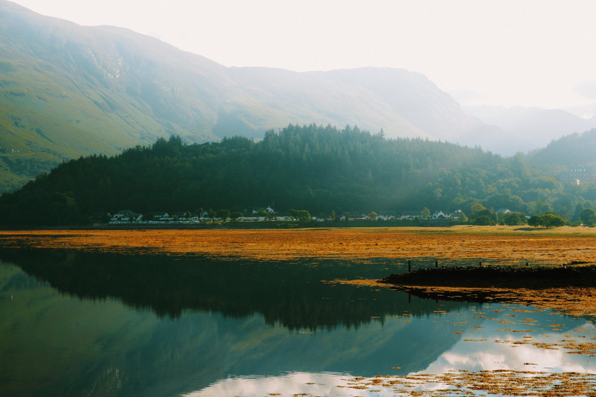 DanielCasson1's tweet photo. Scotland 🍃 // https://t.co/PtRqVzGnVN