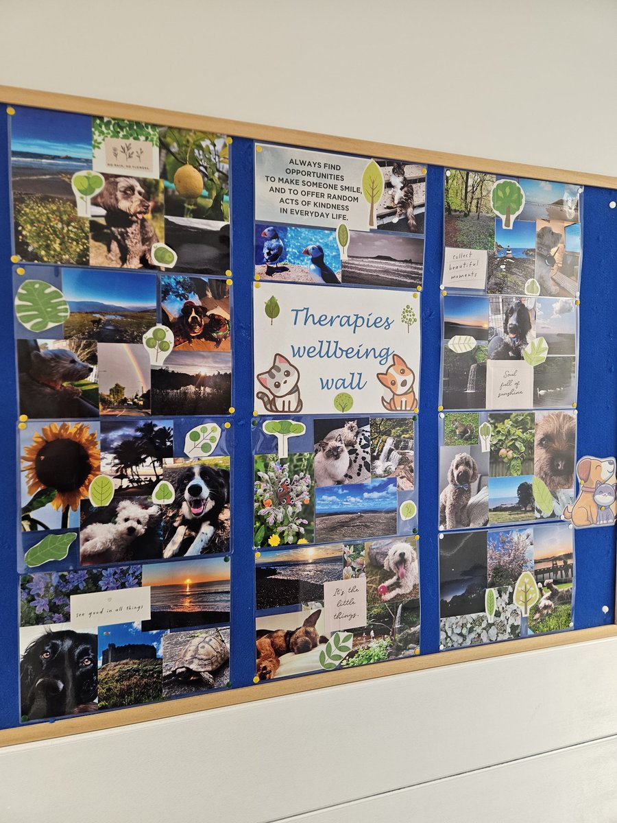 Kate Baker (@kbaker_physio) on Twitter photo Fostering staff wellbeing within Therapies @VelindreCC Always find opportunities to make someone smile #wellbeing #petphotos #scenary #summer <a href="/macmillancancer/">Macmillan Cancer Support</a> Fostering staff wellbeing within Therapies @VelindreCC Always find opportunities to make someone smile #wellbeing #petphotos #scenary #summer <a href="/macmillancancer/">Macmillan Cancer Support</a>