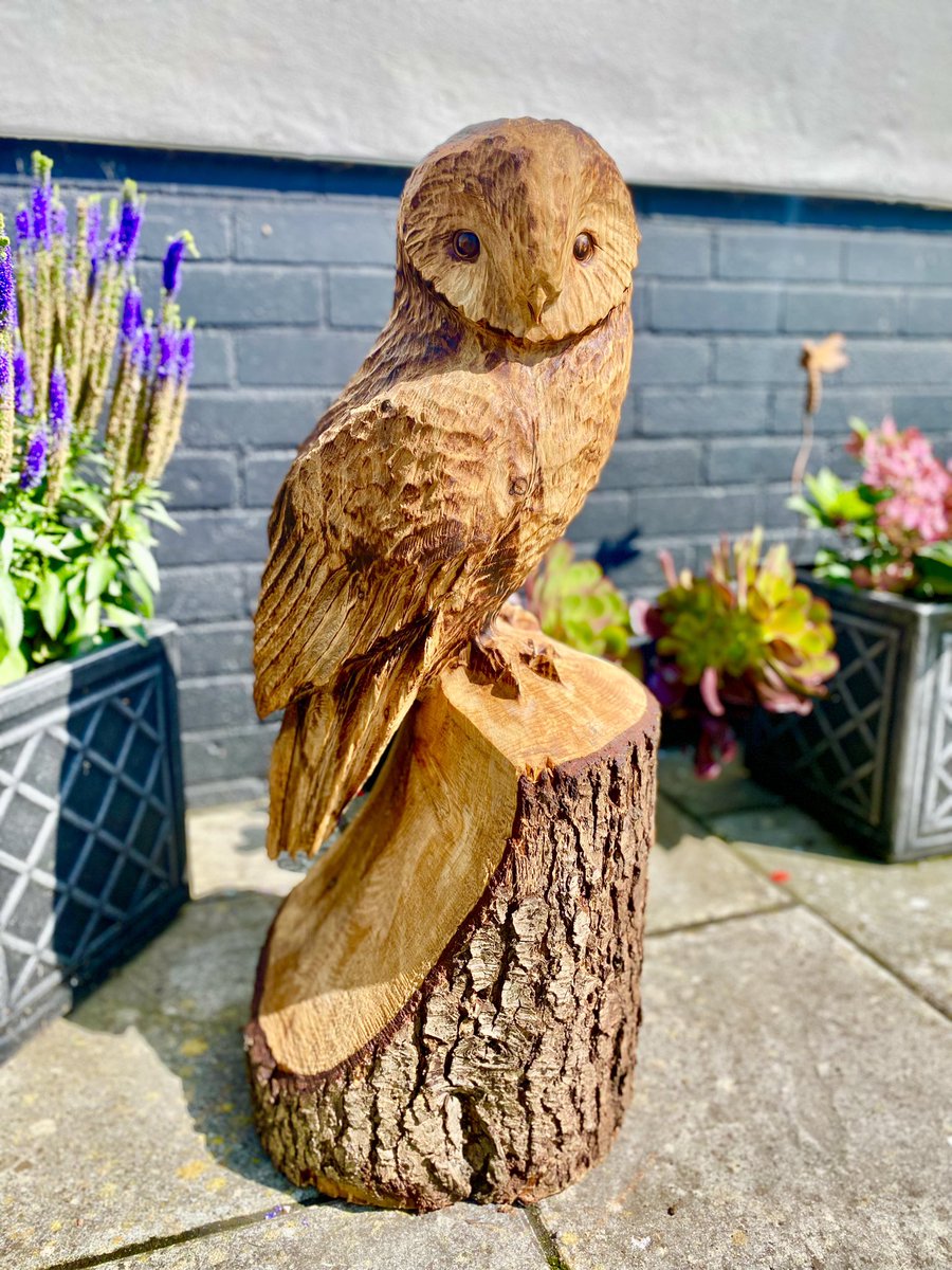 Andy Burgess tweet media