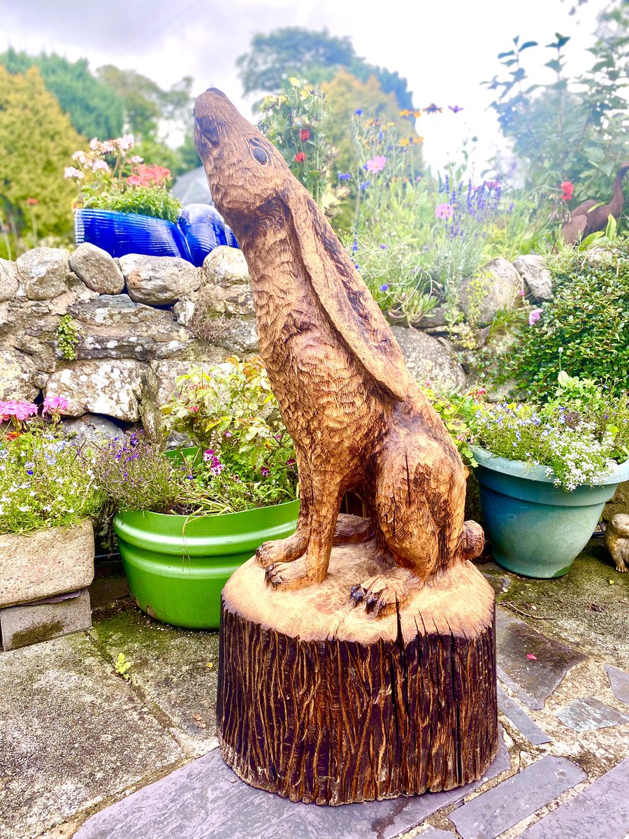 Andy Burgess tweet media