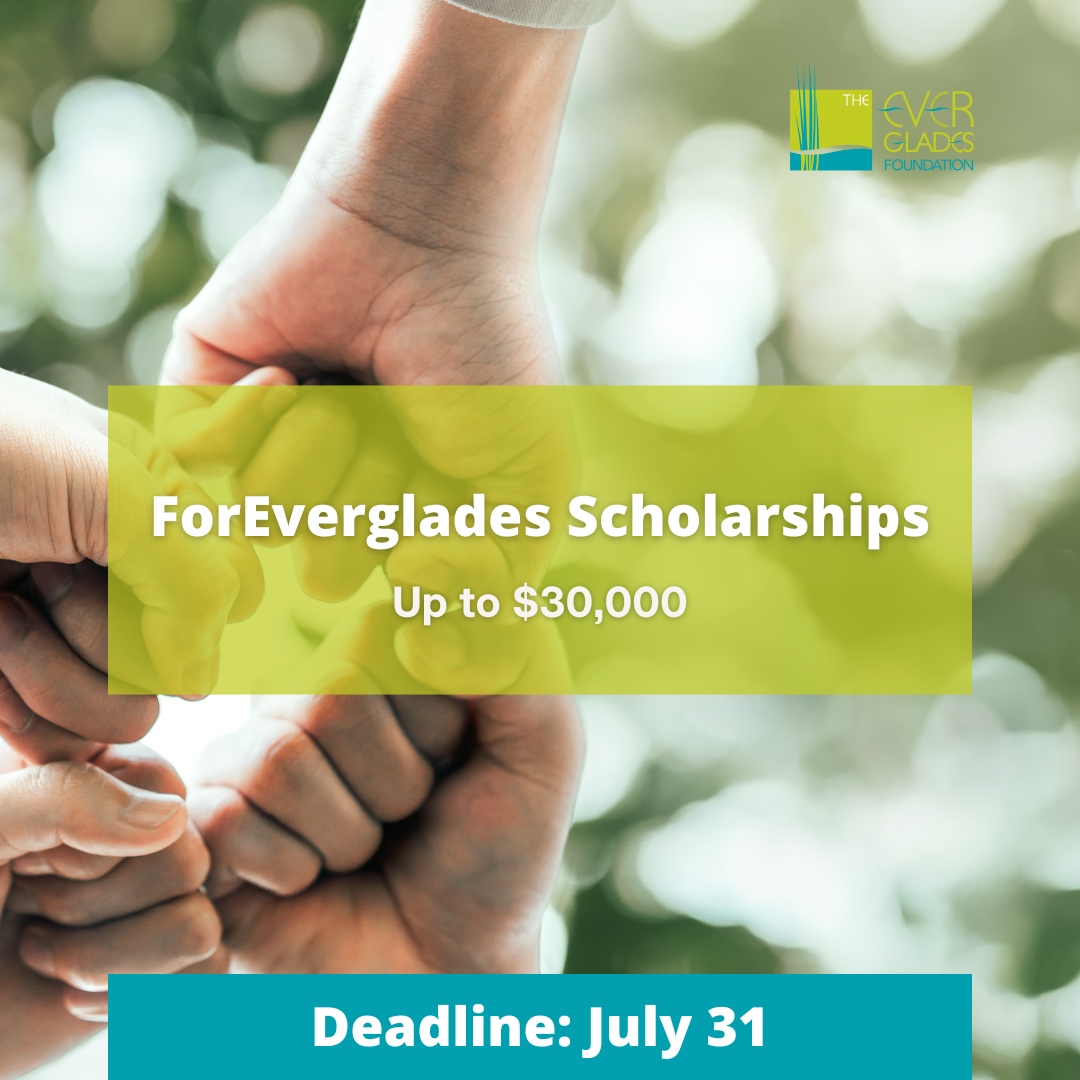 Scholarshipscom's tweet photo. #ScholarshipSpotlight

Don't miss out on the @evergladesfoundation scholarships! 💰🌊 Pursue your passion for environmental science and get up to $30,000 per year to fuel your research journey! Apply before July 31, 2023! 

Learn more: https://t.co/HIHtveVGZK https://t.co/NJ6mblh6XK