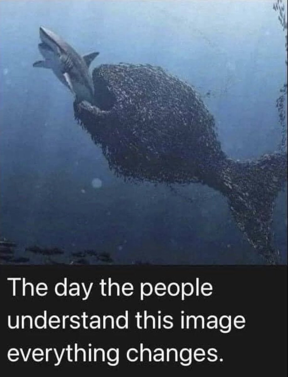 C0MET0GETHERNOW's tweet image. 