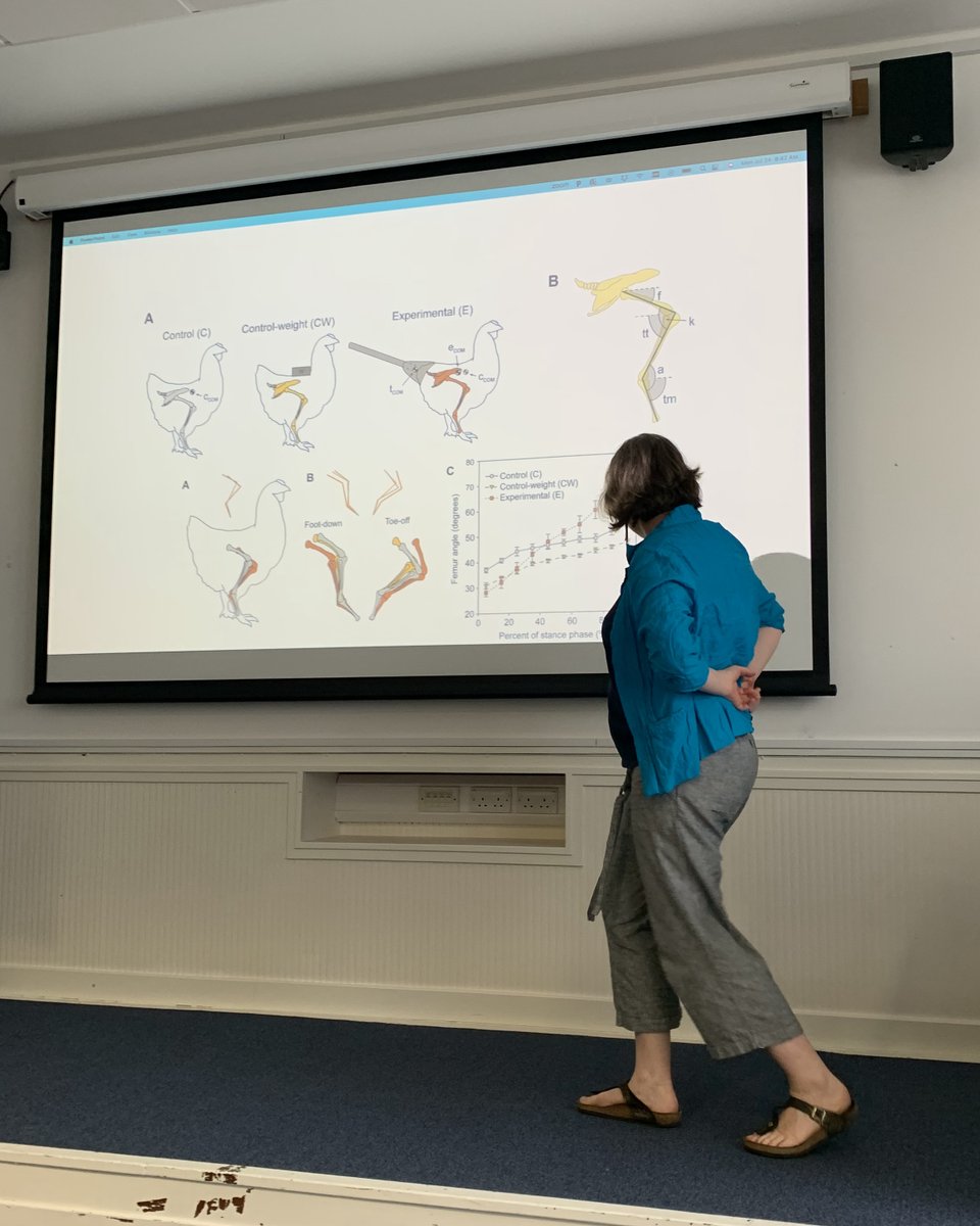 Rawlins Lab tweet media