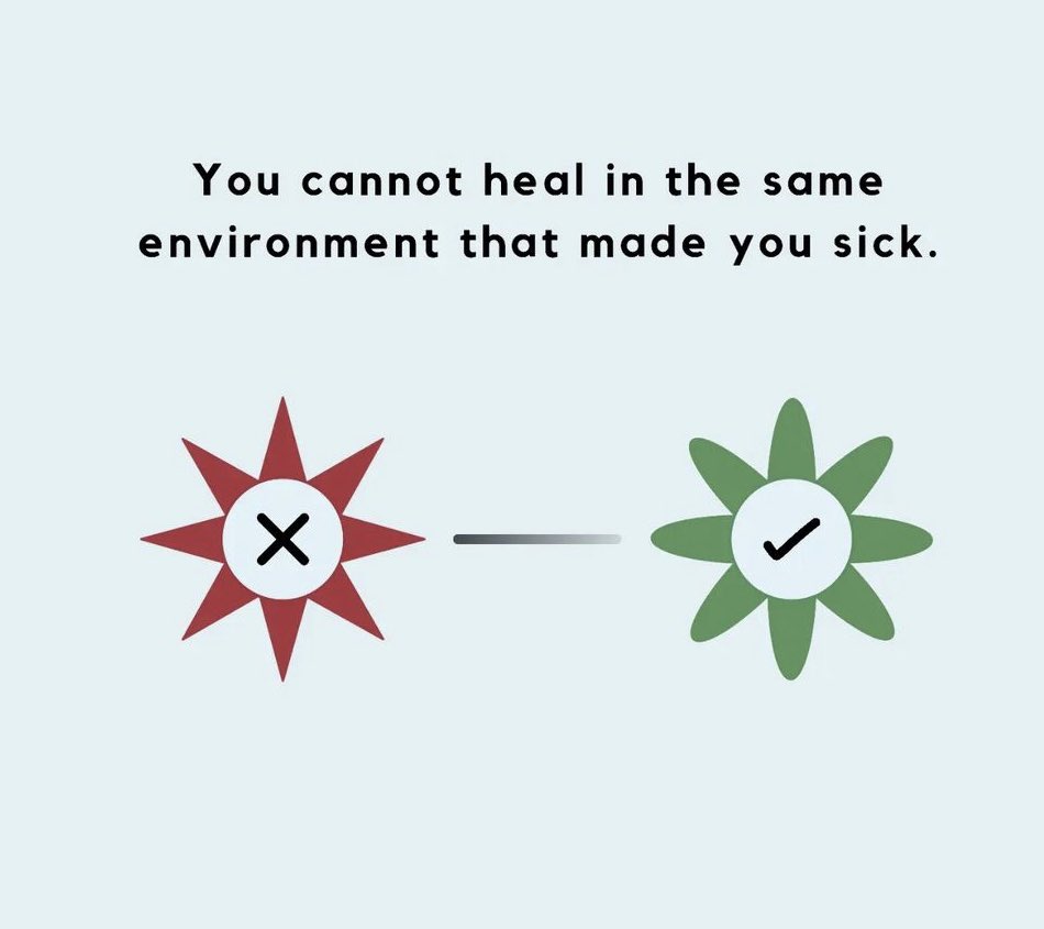 TangEstate's tweet photo. You can’t #heal in the same #environment that #made you #sick ! So #true , you #need #better environment ! By https://t.co/fUoETlD0q5
We #service all #california #realestate #buying #selling #loan #investment #propertymanagerment your #onestop #topagent /broker:
☎️415-583-3668|
+1-415-689-3988 (WhatsApp/Telegram)
📧 hellen@hellentang.com
💻: https://t.co/fUoETlD0q5
WeChat:ke201788
*
*
*
*
*
*
#hellentangrealestate #hellentongrealestate #hellentang #hellentong #realestate #realtor #broker #loanofficer #mortgagebroker #morgageloan #bayarea #realestateagent #investment #investor #investing #propertymanagement #loan