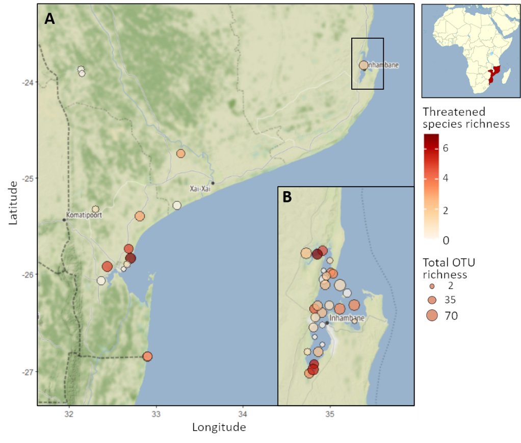 Honestly - doing science in Mozambique is not easy. There are some stories to tell that do not fit in a tweet.

But super happy that this one on possible future marine biodiversity monitoring in SSA is out!
onlinelibrary.wiley.com/doi/full/10.11…