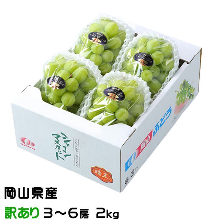 japan_food_loss's tweet photo. ／
訳あり
シャインマスカット
＼

楽天市場
▷ https://t.co/LzGo0v4HzV

アマゾン
▷ https://t.co/xBRa97WVyB

シャインマスカットは、大粒で種が無く、甘く豊潤なマスカットの香りがする皮ごと食べられる、次世代の葡萄です

#その場で当たる #プレゼントキャンペーン実施中 https://t.co/R7p8YDt4IY