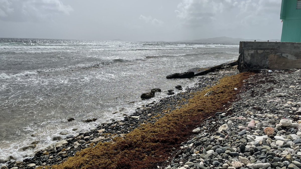 Alecia | Leisure Lambie tweet media