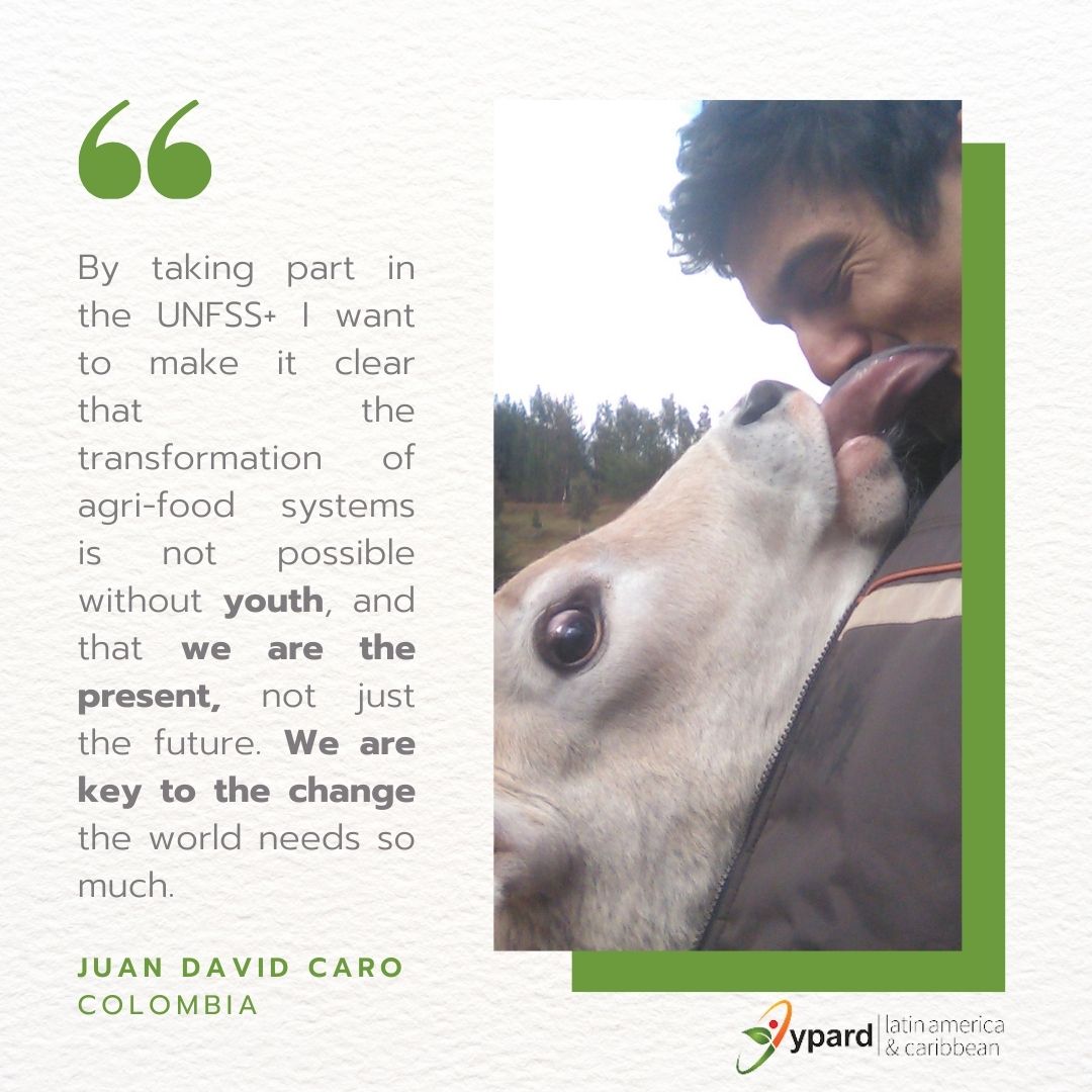 YPARD_LAC's tweet image. We are proud to see our members taking the stage on these important meetings, voicing youth’s needs and demands 🙌

#UNFSS2023 #YPARDLAC