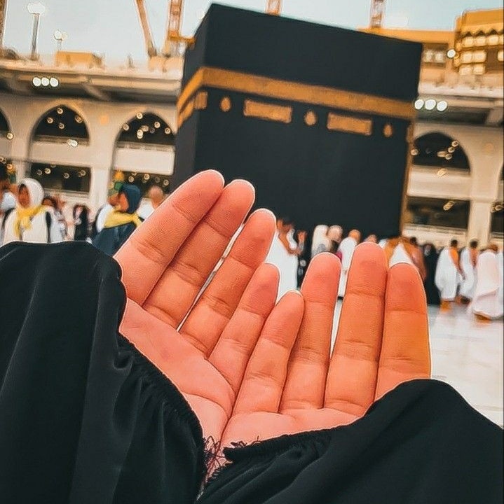 AsmaaMoNasser's tweet photo. #صورة_ملف_شخصي_جديدة https://t.co/Ii5XJYKYrR