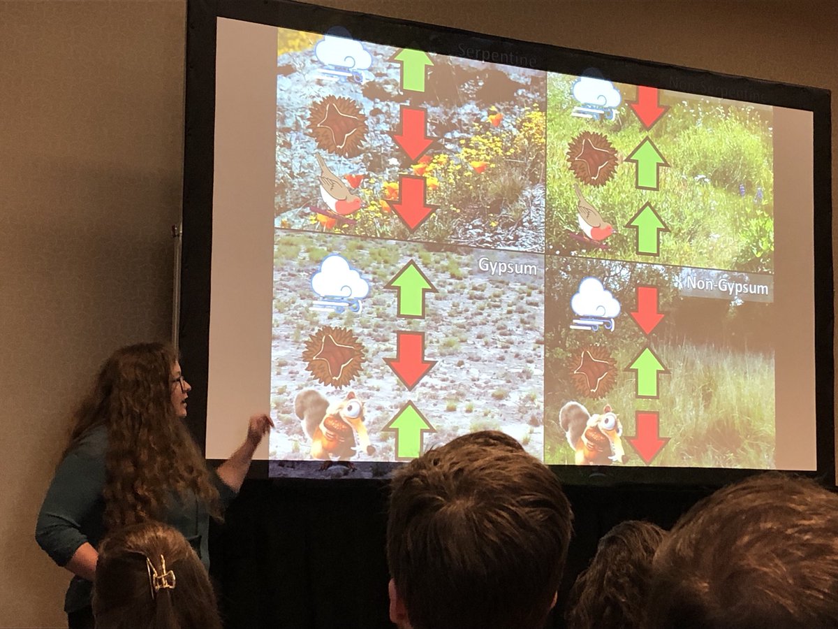 Kate Madison showing dispersal syndromes are being filtered in nearly the same way on gypsum as they are on serpentine! #Botany2023 ⁦<a href="/PBIO_OhioU/">Env & Plant Biol</a>⁩