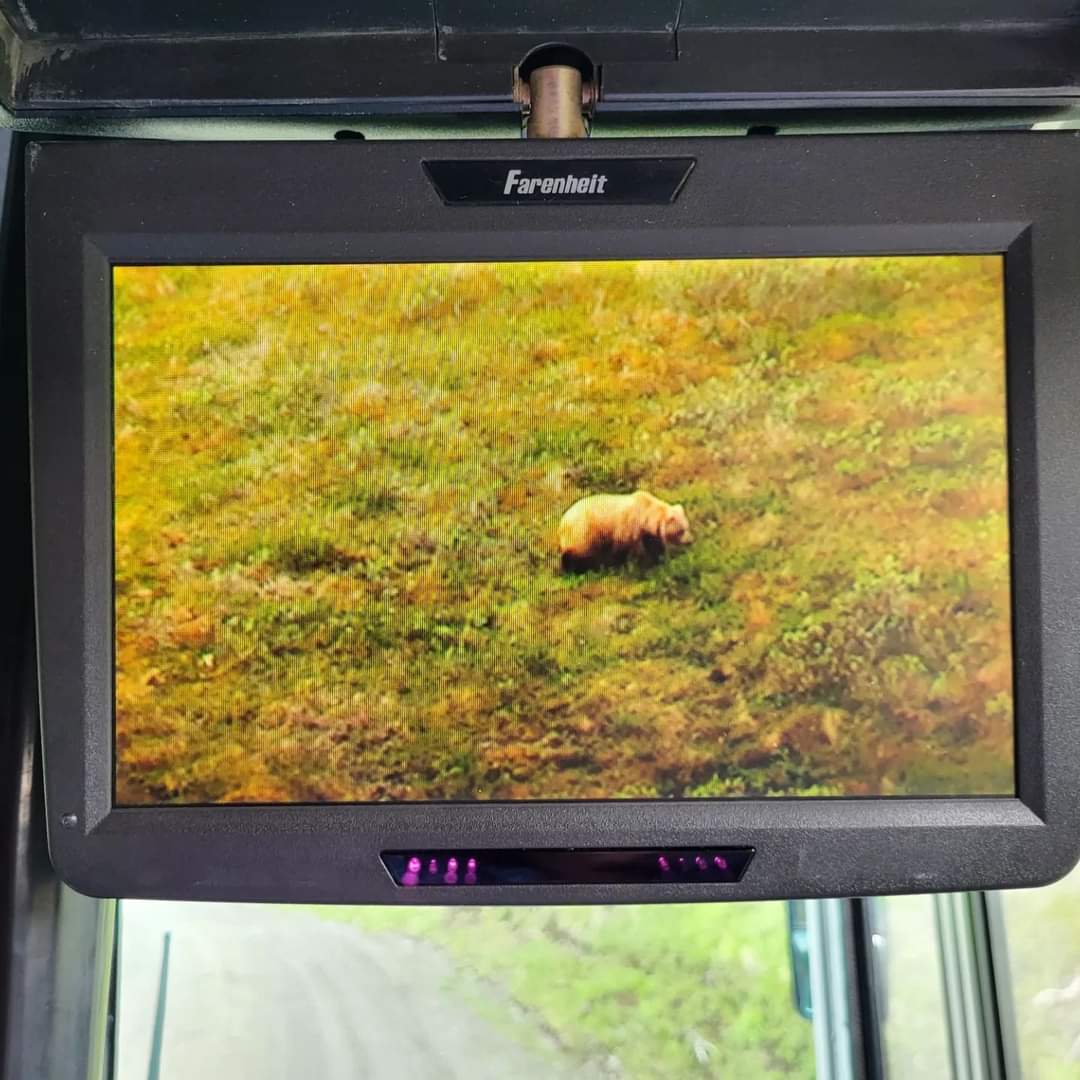 April | Minivan Adventures tweet media