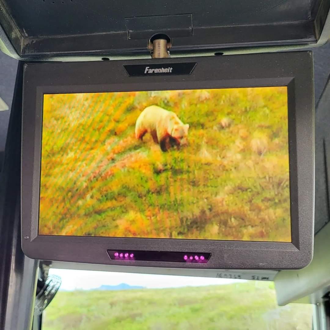 April | Minivan Adventures tweet media