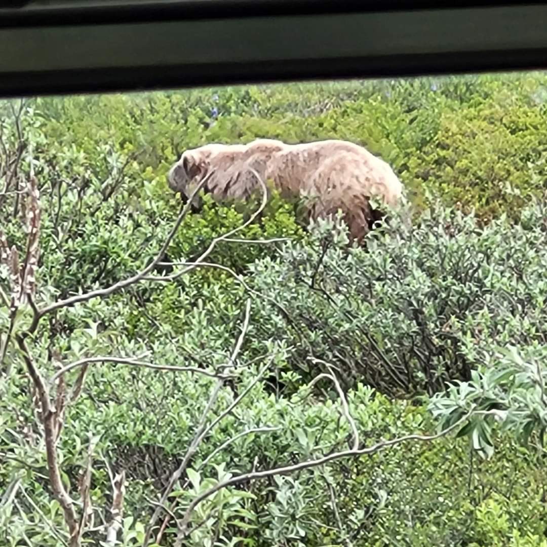 April | Minivan Adventures tweet media