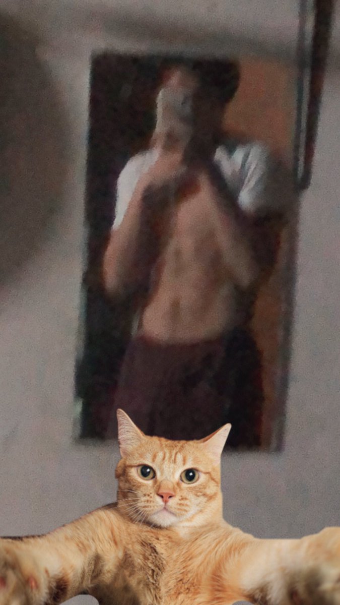 Chwayjunwoo's tweet photo. Can i be dady cat🐈 https://t.co/bZQL4slBO7