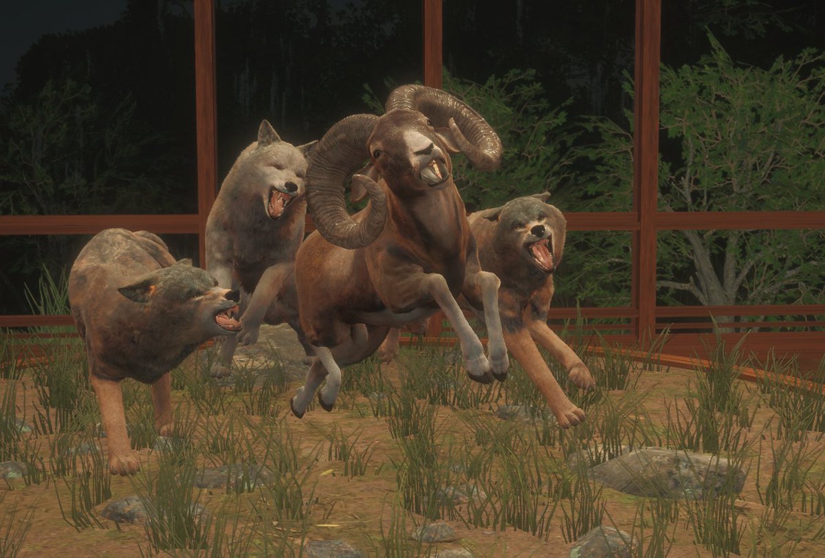 Roger2Rage's tweet image. Got the Diamond Iberian mouflon on the first day of Hunting for it!! Now got it setup with my Diamond wolfs 
@theHunterCOTW #diamondhunting #luck #thehuntercallofthewild #twitch #streamer @Twitch