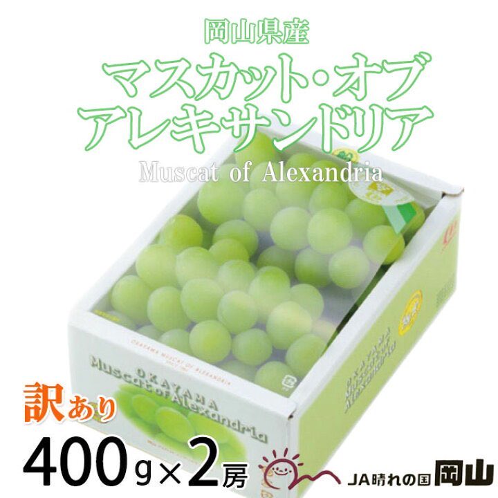 japan_food_loss's tweet photo. ／
訳あり
マスカット オブ アレキサンドリア
＼

楽天市場
▷ https://t.co/Be3jUgmlhd

アマゾン
▷ https://t.co/4x9RwPao8W

マスカットオブアレキサンドリアは岡山を代表する葡萄の品種です

#その場で当たる #プレゼントキャンペーン実施中 https://t.co/n2wCRfZmse
