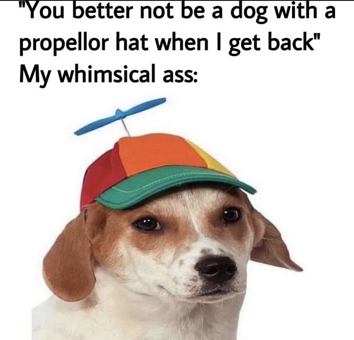 ᅠᅠᅠᅠᅠᅠᅠᅠᅠᅠᅠᅠᅠᅠᅠᅠᅠᅠᅠᅠᅠᅠᅠᅠᅠᅠᅠᅠᅠᅠᅠ˖ᅠ𝓽𝒂͟𝒓͟𝒂 ͙ * ༗ᅠ tweet media