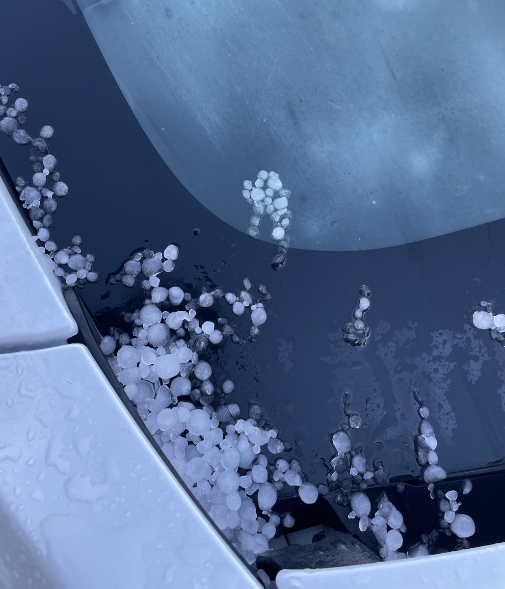 NIWA Weather tweet media