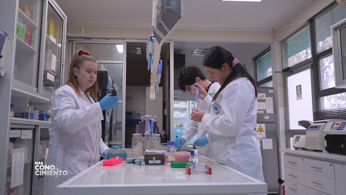 ICBUTALCA1's tweet photo. En un nuevo capítulo de #MásConocimiento visitaron el Centro de Bioinformática, Simulación y Modelado para mostrar el trabajo de docentes y estudiantes en el desarrollo de fármacos.
Te invitamos a ver la entrevista https://t.co/yETwyo9UOH

#Bioinformaticautalca
#SomosUtalca https://t.co/2IntSuNucE