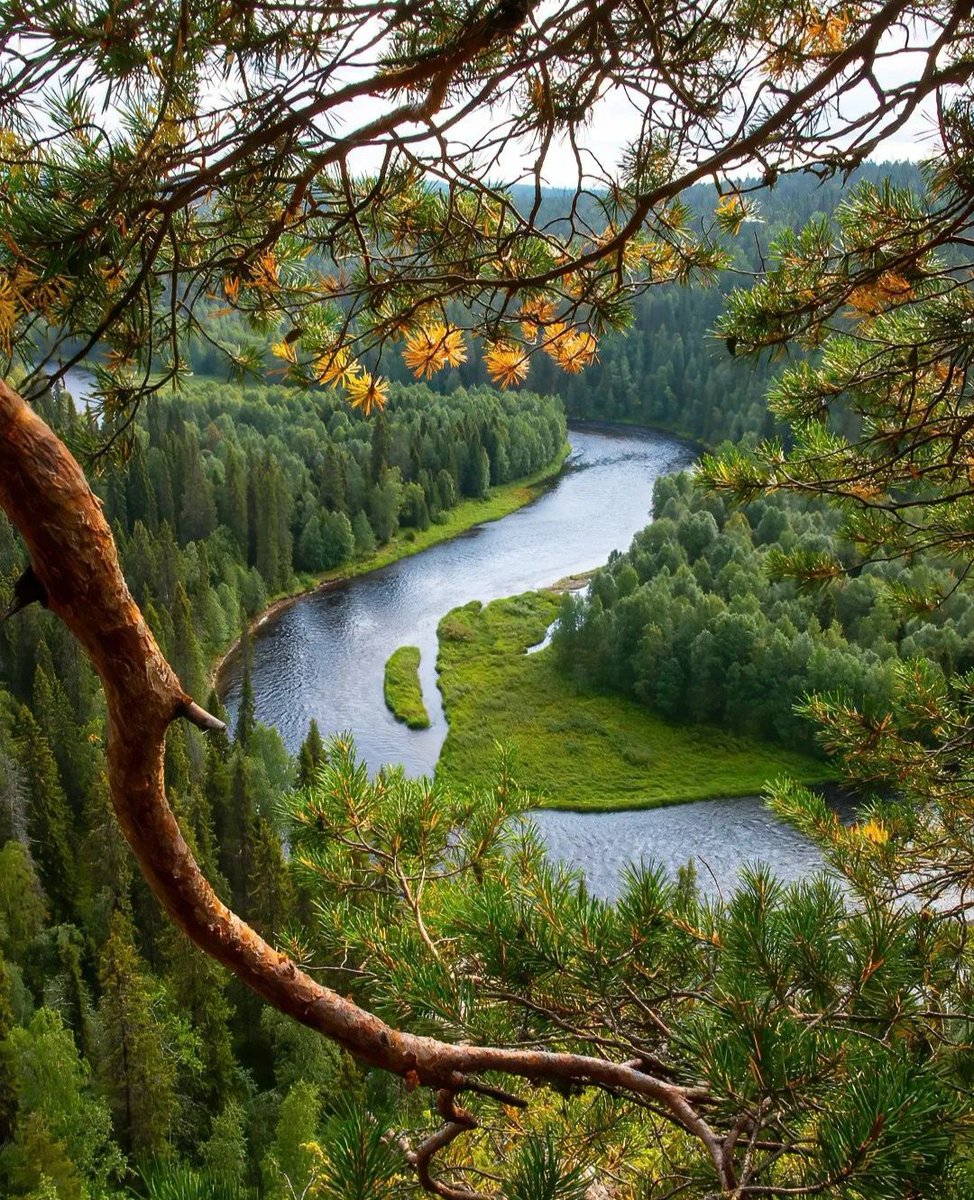 💚☘️🍃🍃🍂