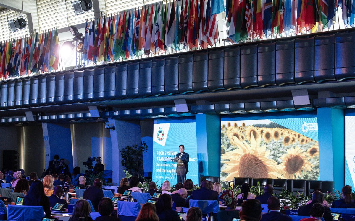 Rene Orellana Halkyer tweet media