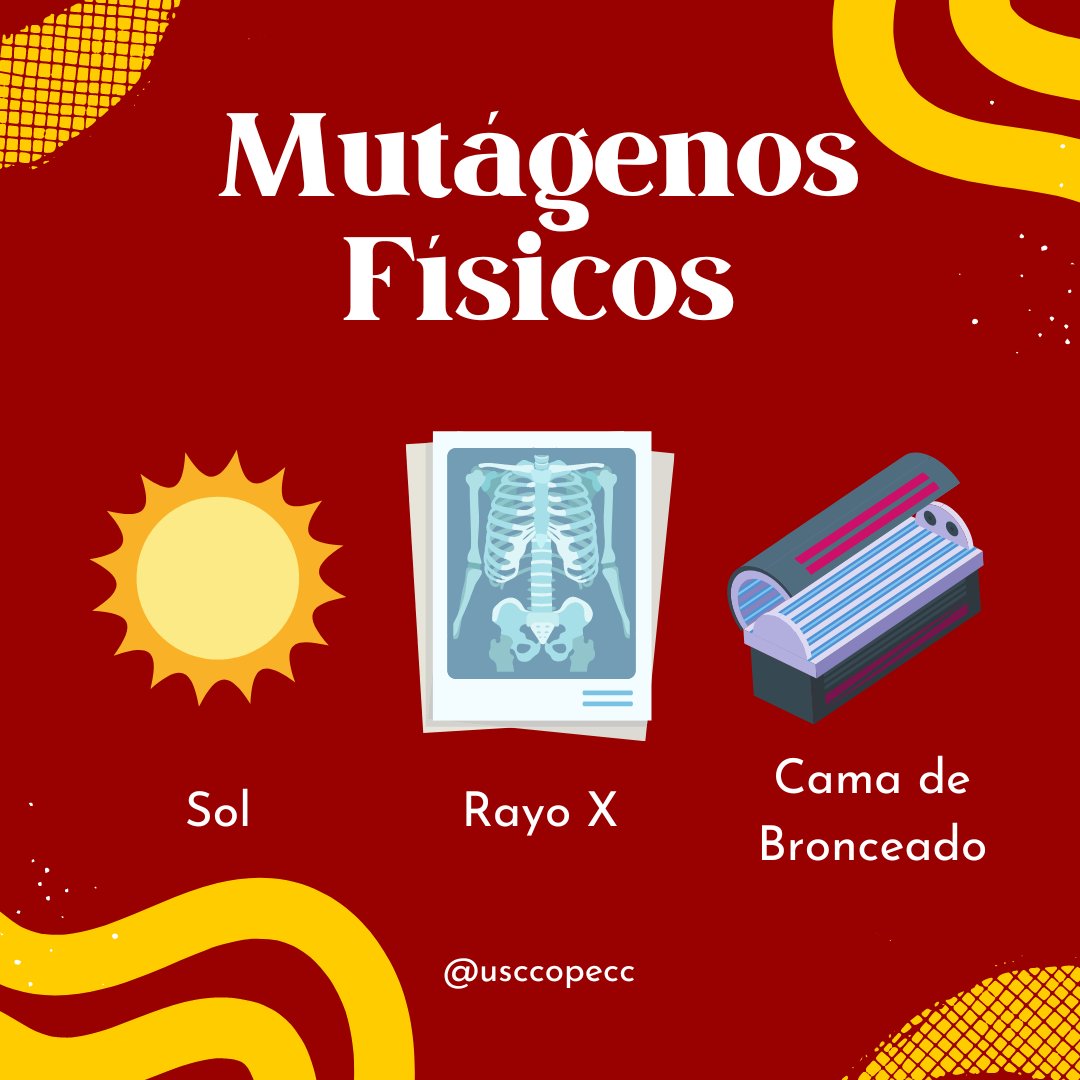 USCCOPECC's tweet photo. #A #PhysicalMutagen is a physical agent that causes #geneticmutations. Physical mutagens include ionizing radiation, like #XRays, and #UVRadiation.
#cancerdisparities #cancerresearch #HispanicHealth #researchunit #nci #pecgs #moonshotinititative #genetics #cancer #DNA https://t.co/scDijzdQwm