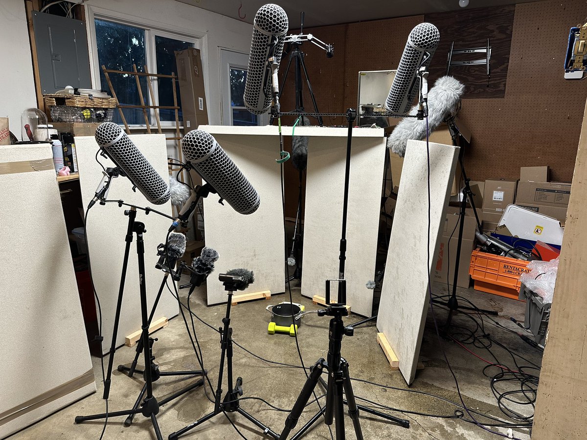 Robbie Elias tweet media