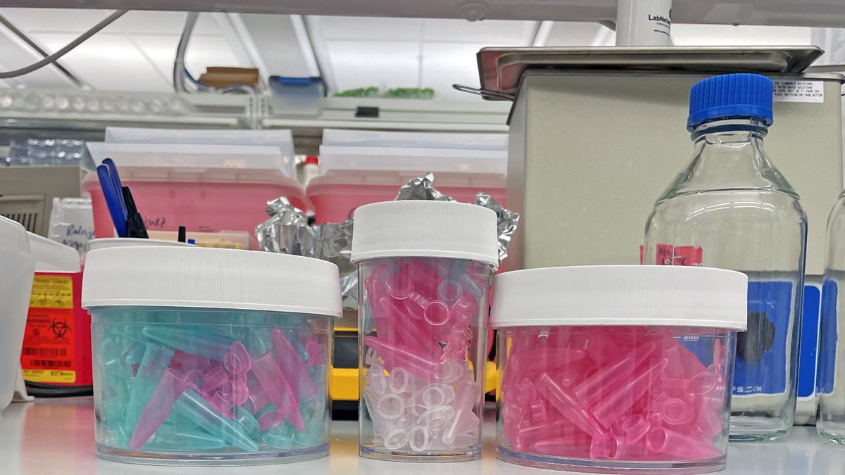 Erik A. Rodriguez tweet media