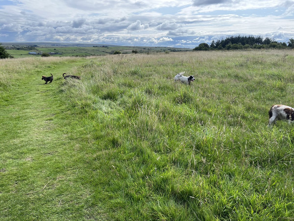 Walkies!!! Can you see me????