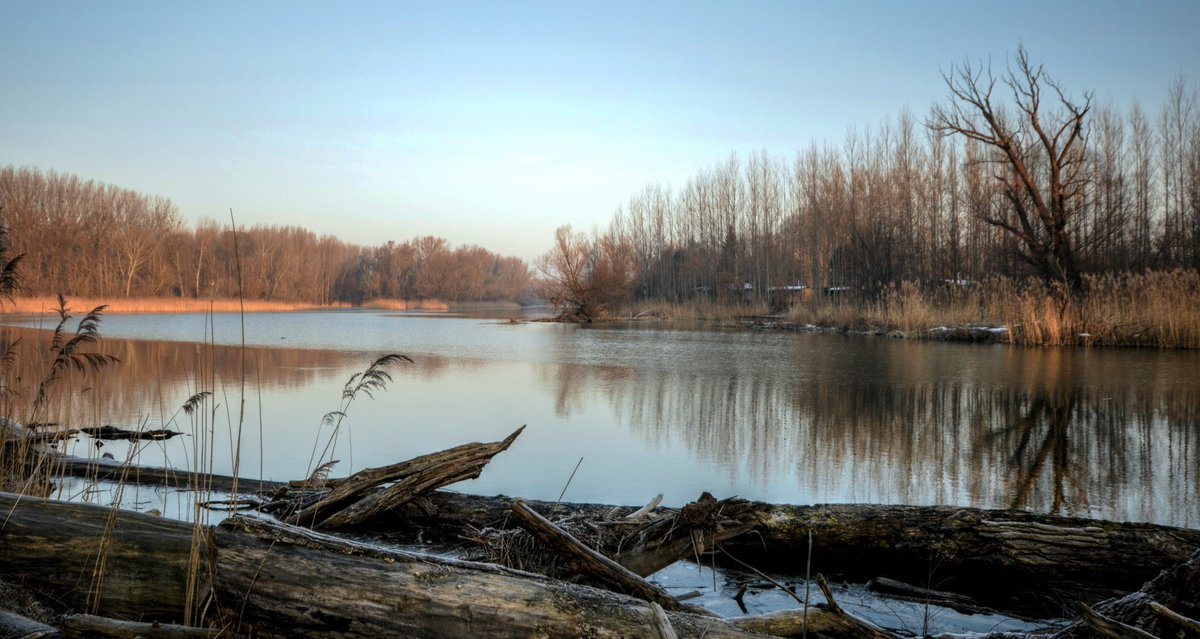 riktpunkt's tweet image. Floder och hav utsatta för giftiga bekämpningsmedel - läs mer på riktpunkt.nu!

#bekämpningsmedel #ekosystem #floder #Jordbruk #Kommunister #SKP

riktpunkt.nu/2023/07/floder…