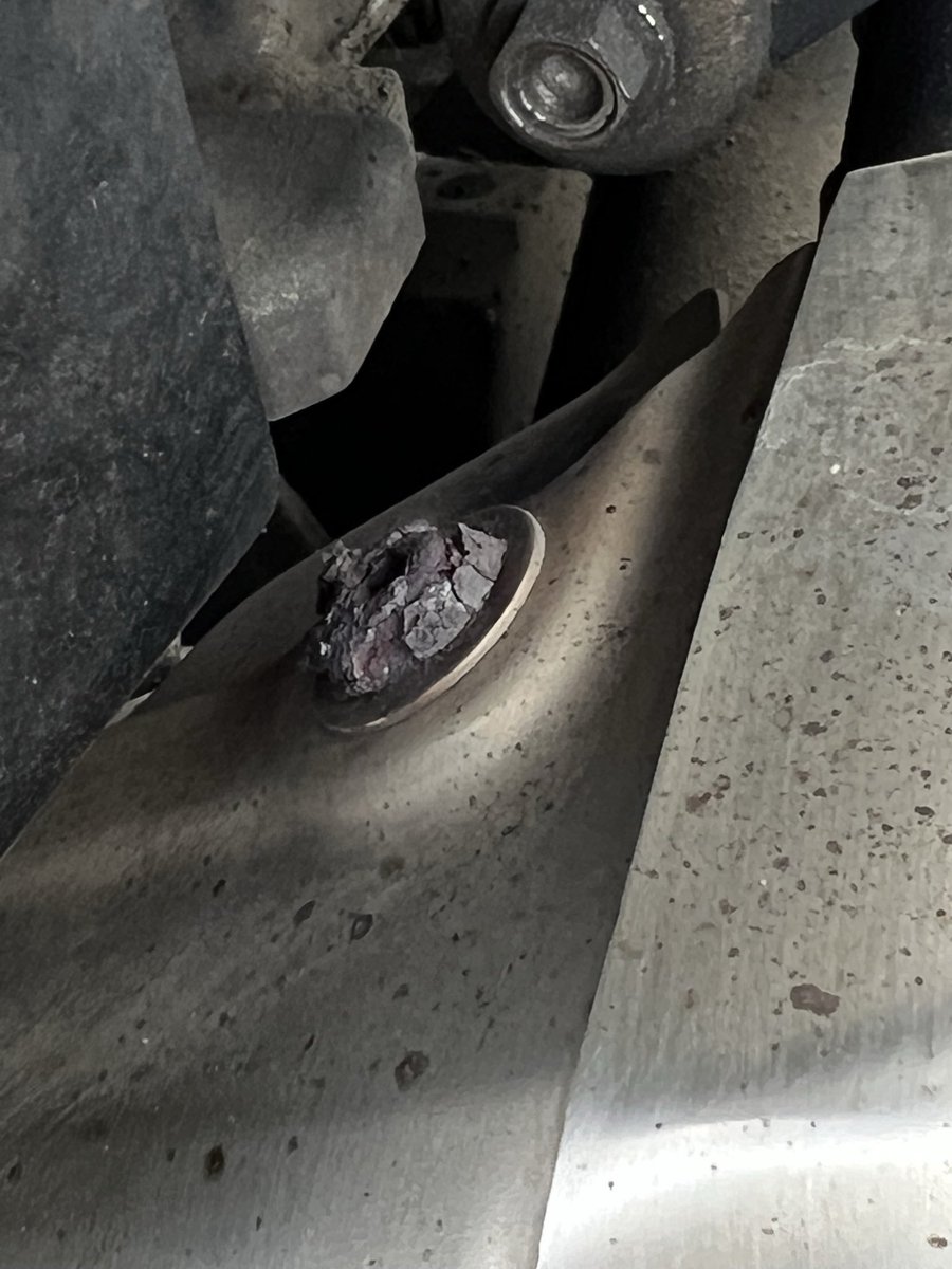 zippysworld.co.uk tweet media