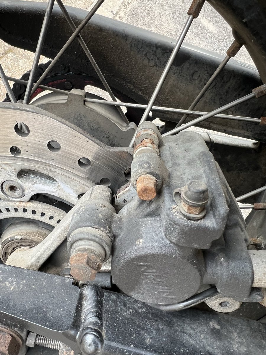 zippysworld.co.uk tweet media