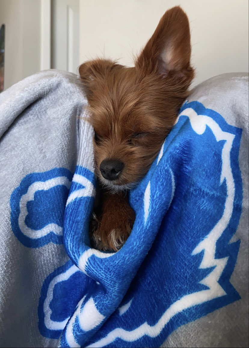 ajwxo's tweet photo. @Lions GG💙🩶 https://t.co/QW7oMNHOKL